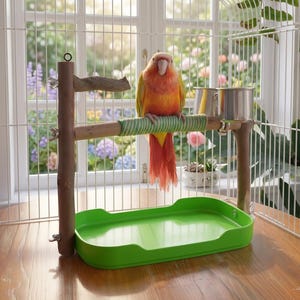 May include: A sun conure parrot with yellow, orange, and green feathers perched on a wooden bird stand. The stand features a horizontal perch with a green textured wrap, two metal cups, and a bright green rectangular plastic base tray.