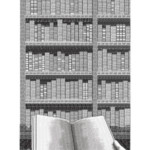 May include: Monochrome artwork depicting a library interior. The image shows multiple bookshelves filled with books, and an open book in the foreground. The text "THE LIBRARY" and the artist's name are visible.
