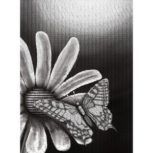 May include: Monochrome art print depicting a daisy and a butterfly, created with a pixelated effect. The butterfly is positioned on the flower, with the word "TRANQUILLITY" at the bottom. The artist's name is also included.