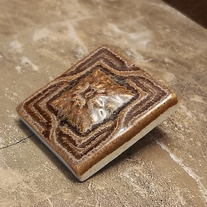 May include: A rectangular, brown ceramic tile with a raised, textured design. The tile features a central, lighter-colored area with a detailed, organic pattern, surrounded by concentric, darker brown borders. The edges are a lighter tan color.