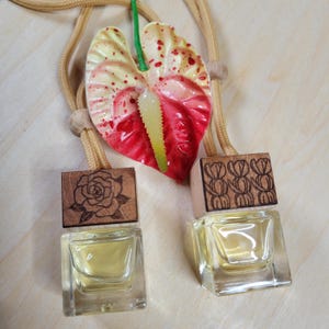 Hawaiian Car Diffuser Pikake, Gardenia scents car accessories car freshie car air freshener hanging car diffuser  car scent diffuser