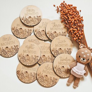 Baby Monthly Milestone Disc, Monthly Signs For Baby, Baby Monthly Photo Prop, Wood Baby Monthly Photo Prop, Baby Milestones, Milestone Cards