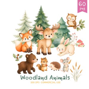 Könnte beinhalten: Eine Sammlung von Aquarellillustrationen mit einem Fuchs, Elch, Hasen, Bären, Streifenhörnchen, Igel, Maus und Eule zwischen Kiefern und Pilzen. Der Text lautet Woodland Animals, 60 png, 300 DPI- COMMERCIAL USE.