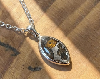 Sericho Pallasit Meteorit Anhänger – Echte Scheibe aus Kenia (Marquise 25 × 15 × 6 mm) – 58 cm Kette – Zertifikat & Geschenkbox inklusive