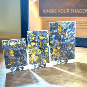 Puede incluir: Tres láminas rectangulares de meteorito pallasita expuestas sobre pequeños soportes metálicos. Cada lámina presenta un patrón distintivo de cristales de olivino amarillo dorado translúcidos incrustados en una matriz metálica oscura.