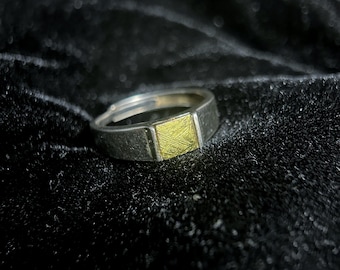 Anillo de meteorito Muonionalusta genuino, interior con patrón Widmanstätten, tono plateado, banda de 5 mm