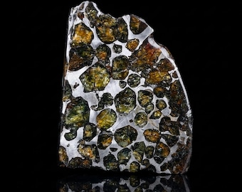 50g Sericho Pallasit Endcut/Meteorit Anhänger/Pallasit Anhänger/Pallasit/Meteorit Endcut