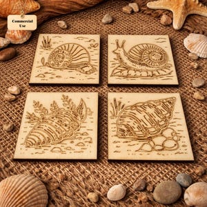 Könnte beinhalten: Vier quadratische Holzuntersetzer mit geätzten Muschel- und Schneckenmotiven. Die Untersetzer sind hellbraun und auf einer strukturierten Oberfläche mit Muscheln und kleinen Steinen angeordnet. Die Untersetzer weisen detaillierte Strichzeichnungen auf.