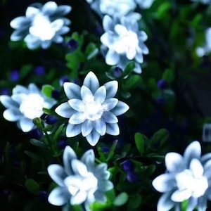 May include: Close-up of illuminated white flower-shaped lights. The lights are arranged among green foliage with small purple accents. The flower lights have a bright, glowing centre and are ideal for outdoor decor.