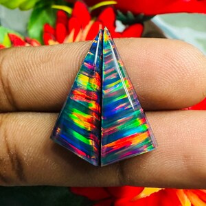 Peut inclure: Deux opales triangulaires aux couleurs vives et irisées, bleues, vertes, jaunes et rouges. Les pierres précieuses sont présentées sur un fond flou de fleurs rouges et de feuillage vert.