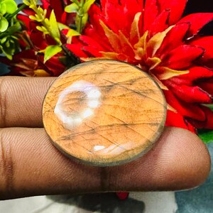 Peut inclure: Une pierre précieuse ronde et polie, aux tons chauds. La pierre présente un mélange de tons beige, marron et crème, avec une surface brillante et réfléchissante. La gemme est mise en valeur sur un fond de fleurs rouges et vertes vibrantes.
