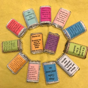 24 Book Lover Sayings Hershey Miniature wrapped Candy Bars for book clubs, book themed events, book lovers, retirement and more