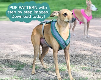 Haz tu propio / PATRÓN / arnés en Y / galgo italiano / arnés para perros