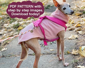 PATRÓN Chaleco/suéter para tu galgo italiano, lebrel, crestado chino