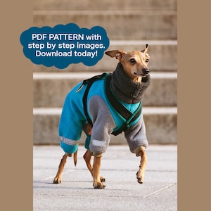 Könnte beinhalten: Ein kleiner brauner und weißer Hund, der einen blauen und grauen Fleece-Overall mit einem schwarzen Geschirr trägt. Der Hund geht eine Betontreppe hinunter. Der Text "PDF PATTERN with step by step images. Download today!" befindet sich in einer Sprechblase über dem Hund.