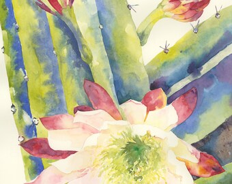 Cereus Cactus Flower Watercolor Art Print – Desert Botanical, 8x10 Matted