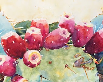 Puede incluir: Una pintura de acuarela de frutos de chumbera. La fruta es de color rosa y rojo vibrante con un centro amarillo. La fruta está creciendo en una penca de cactus verde.