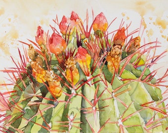 Espina Roja Cactus Watercolor Art Print | Matted Arizona Art