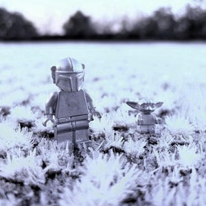 May include: A grayscale image featuring two Lego Star Wars figures: The Mandalorian and Grogu, standing in a field of frosty, white vegetation. The figures are silver and detailed, set against a blurred, neutral background.