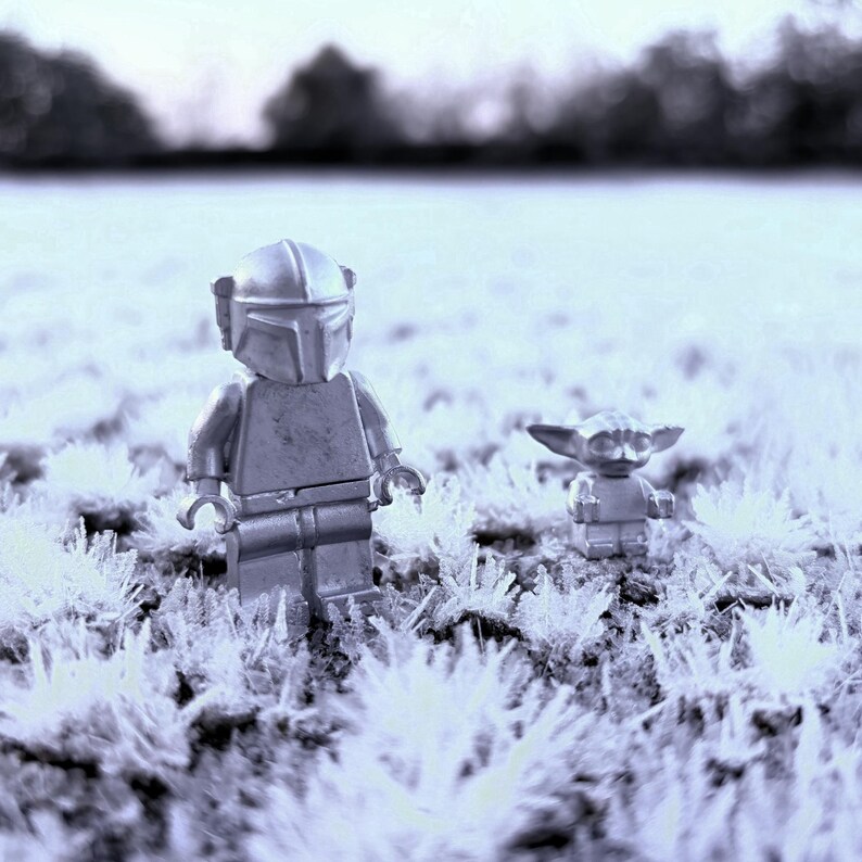 May include: A grayscale image featuring two Lego Star Wars figures: The Mandalorian and Grogu, standing in a field of frosty, white vegetation. The figures are silver and detailed, set against a blurred, neutral background.