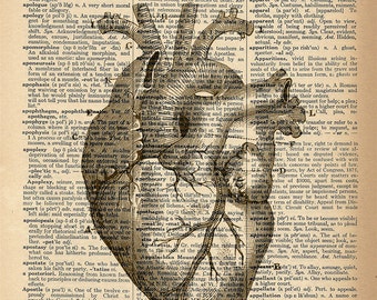 Dictionary Art Print - Heart Diagram - Upcycled Vintage Dictionary Page Poster Print - Size 8x10