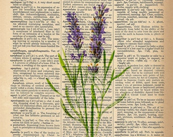 Dictionary Art Print - Beautiful Lavender Flower - Upcycled Vintage Dictionary Page Poster Print - Size 8x10