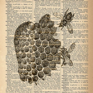 May include: A black and white illustration of a honeycomb pattern with a bee flying above it. The image is from an old book with text about the word "apology".