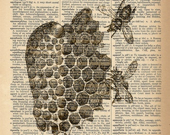 Dictionary Art Print - Bees in Honeycomb - Upcycled Vintage Dictionary Page Poster Print - Size 8x10