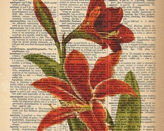 Dictionary Art Print - Red Amaryllis Flower - Upcycled Vintage Dictionary Page Poster Print - Size 8x10