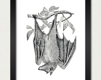 Bat - Vintage Bat Wall Hanging Upside Down Bat in Tree Poster Print - 8x10 Kitchen Dining Room Dorm College Wedding Gift Teen Black White