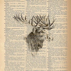 Dictionary Art Print - Handsome Moose in Black and White Print - Upcycled Vintage Dictionary Page Poster Print - Size 8x10