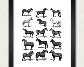 Horses - Vintage Horse Wall Hanging Equine Ponies Horses Poster Print - 8x10 Great Kitchen Dining Room Dorm College Wedding Gift