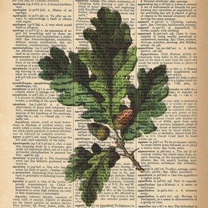 Dictionary Art Print - Leaf - Garden / Nature Decor - Upcycled Vintage Dictionary Page Poster Print - Size 8x10