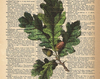 Dictionary Art Print - Leaf - Garden / Nature Decor - Upcycled Vintage Dictionary Page Poster Print - Size 8x10