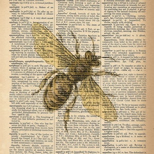 May include: A vintage dictionary page with an illustration of a bee. The page features the words "Apologetics" and "Apostle" and defines the terms. The bee is drawn in a detailed, realistic style with intricate markings and a translucent wing.