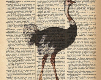 Dictionary Art Print - Ostrich Bird Home Decor - Upcycled Vintage Dictionary Page Poster Print - Size 8x10