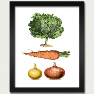 Awesome Kitchen Vegetables Lettuce Carrots Onions Garlic Wall Hanging Poster Print - 8x10 Cute Kitchen Dining Room Dorm College Wedding Gift