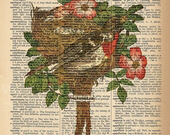 Dictionary Art Print - Grosbeak in Nest - Bird - Upcycled Vintage Dictionary Page Poster Print - Size 8x10