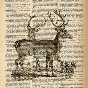 Dictionary Art Print - Deer / Reindeer -  Upcycled Vintage Dictionary Page Poster Print - Size 8x10
