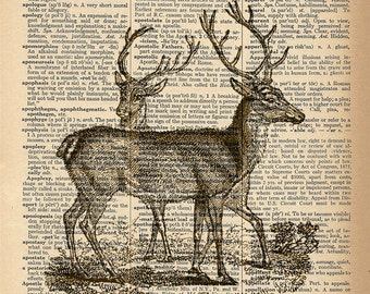 Dictionary Art Print - Deer / Reindeer -  Upcycled Vintage Dictionary Page Poster Print - Size 8x10