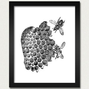 Bees and Honey Vintage Poster - Wall Hanging Print - Honeycomb with Bees 8x10 Great Gift Idea for College, Teen, Mom, Kitchen, Nursery