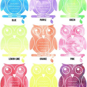 Pu&ograve; includere: Nove illustrazioni di gufi ad acquerello in diversi colori, tra cui blu, viola, verde, lime, arancione, rosa, rosso, giallo e multicolore. Ogni gufo &egrave; appollaiato su un ramo con una foglia.