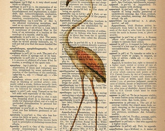 Dictionary Art Print - Flamingo Bird - Upcycled Vintage Dictionary Page Poster Print - 8x10 - Retro Vintage College Graduation Dorm Gift