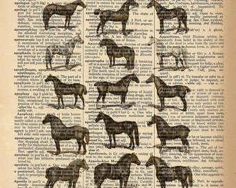 Dictionary Art Print - Horses - Equine Lineup - Upcycled Vintage Dictionary Page Poster Print - Size 8x10