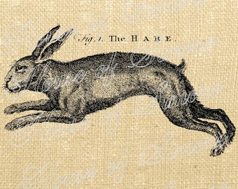 Rabbit Hare Antique Vintage Download Graphic Image Art Transfer burlap tote tea towels Pillow French Gift Tag Digital Sheet 1011