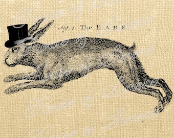 Kanin Hare Top Hat Vintage Ladda ner Grafisk Bild Konst Transfer Juteväv Kökshanddukar Kudde Fransk Presentetikett Digitalt Ark 1010