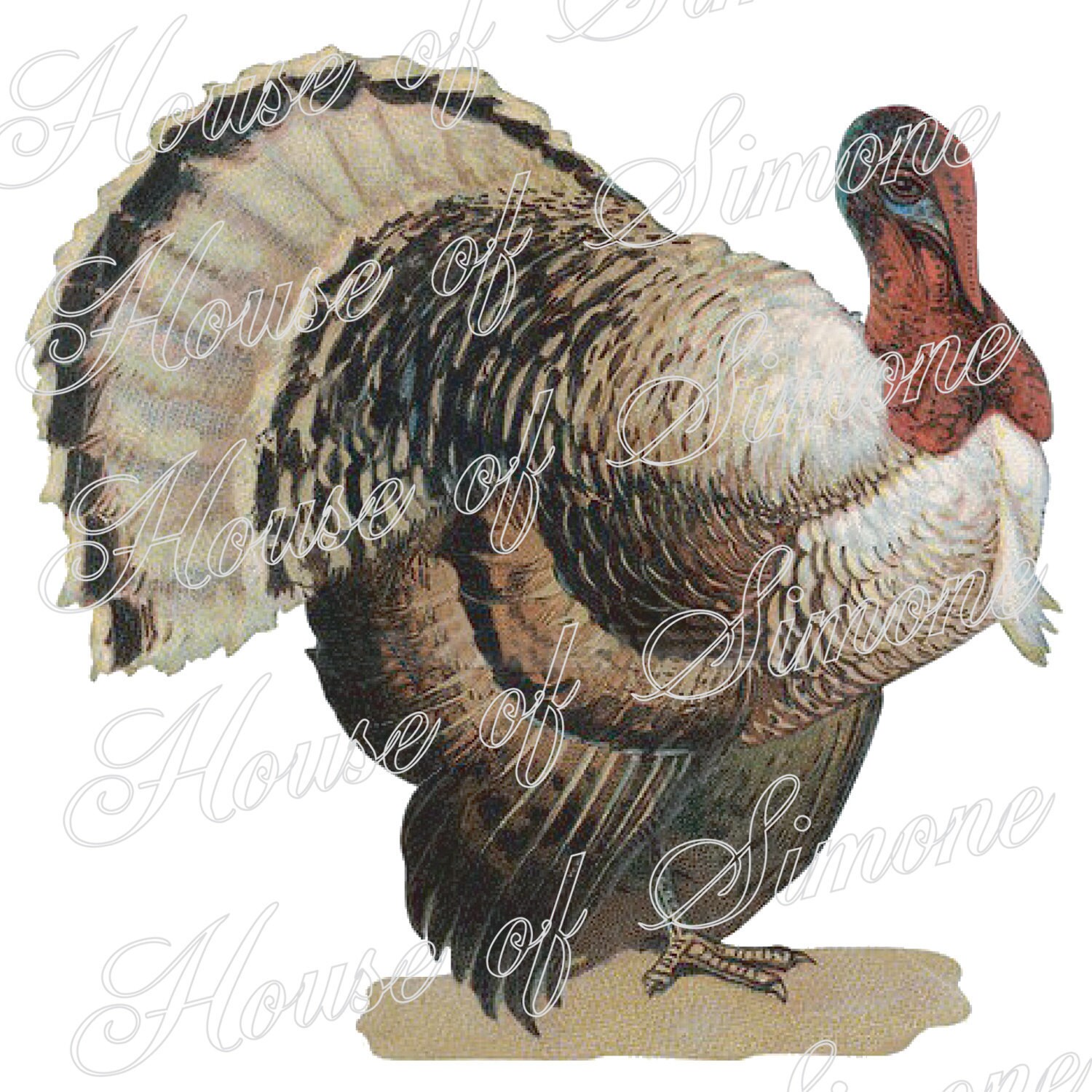 Turkey Thanksgiving Rustic Antique Vintage Download Graphic Image Art ...