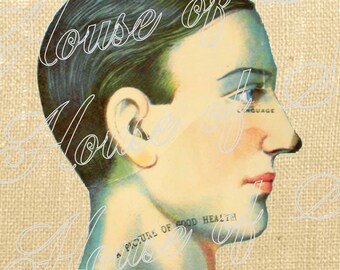 Man Head Medical Health Body People Vintage Download Graphic Image Art Transfer burlap tote tea towels Pillow Gift Tag Digital Sheet 1068