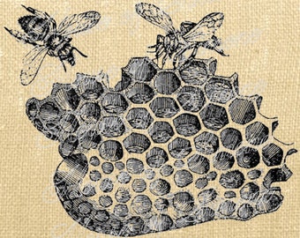 Bee Beehive Insects Honeycomb Vintage Download Graphic Image Art Transfer burlap tote tea towels Pillow French Gift Tag Digital Sheet 1018