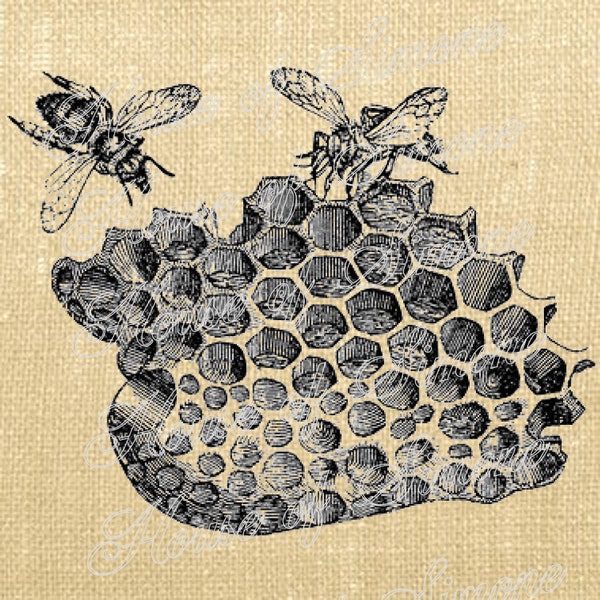 Bee Beehive Insects Honeycomb Vintage Download Graphic Image Art Transfer burlap tote tea towels Pillow French Gift Tag Digital Sheet 1018